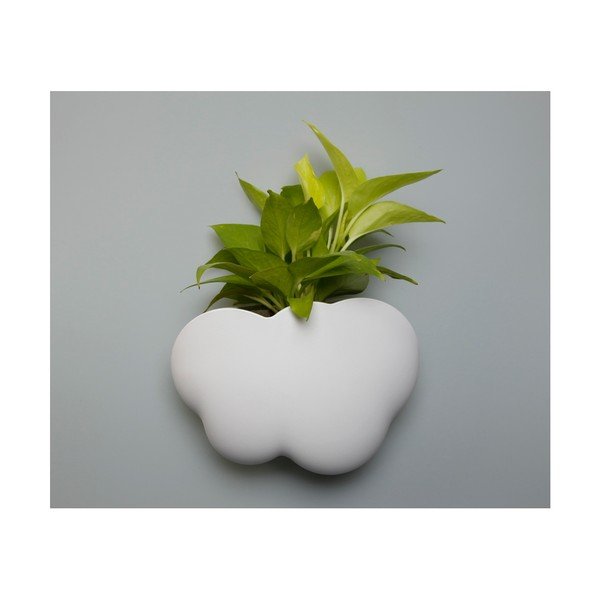 Suport de perete Qualy&CO Cloud, alb-image-4