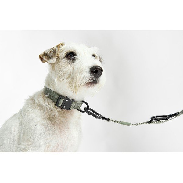 Zgardă gri închis S/M lungime 32 cm Modena Asphalt S/SM – MiaCara-image-1