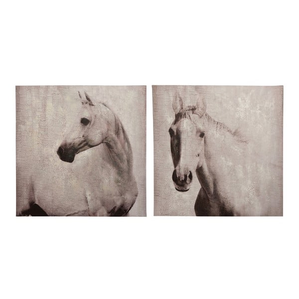 Set 2 tablouri Horse, 80x80 cm
