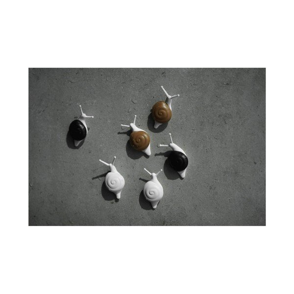 Set 6 magneți Qualy&CO Snail-image-3