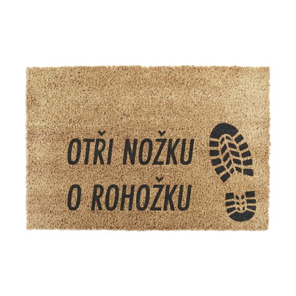 Covoraș de intrare din fibre de nucă de cocos 40x60 cm Boots – Artsy Doormats