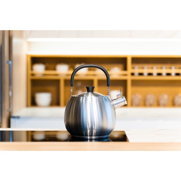 Ceainic din oțel inoxidabil argintiu cu piston Vialli Design Bolla, 2,5 l-image-1
