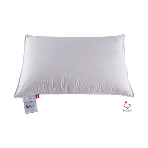 Pernă cu umplutură de pene 50x60 cm The Ugly Duckling – Ringsted Dun