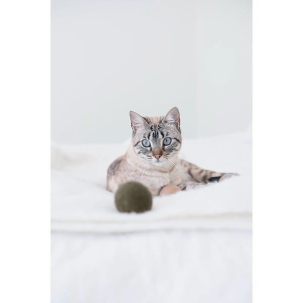 Set de jucării pentru pisici 3 buc. Globo Nougat – MiaCara-image-3