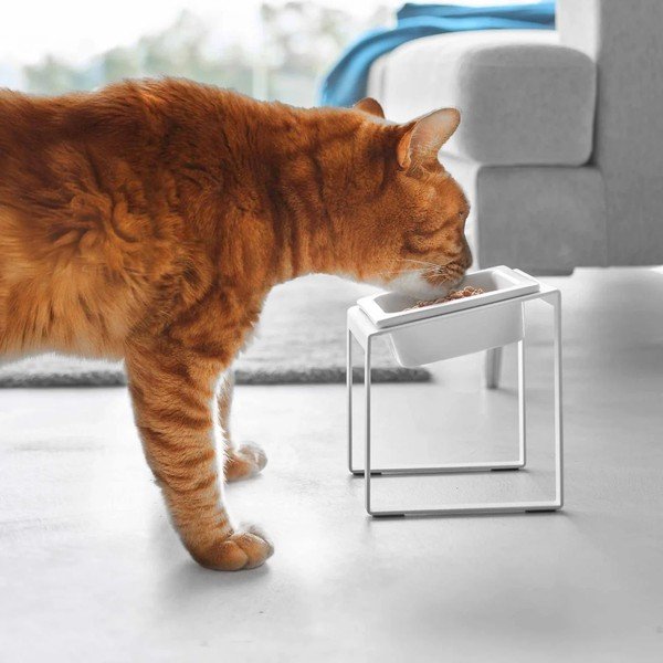 Bol cu suport  pentru animale de companie din ceramică Nooks – YAMAZAKI-image-2