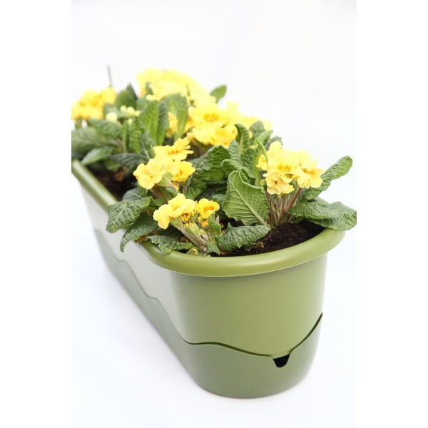 Ghiveci cu sistem de auto-irigare Plastia Mareta, lungime 60 cm, verde-image-2