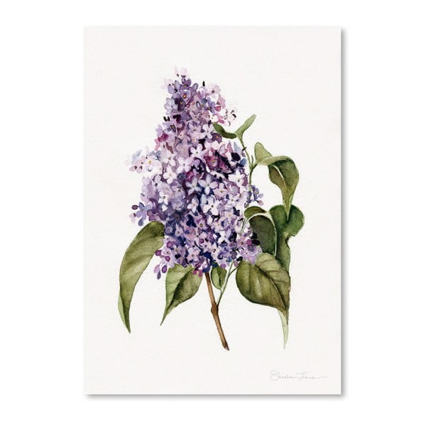 Poster Americanflat Lilac Branch by Shealeen Louise, 30 x 42 cm