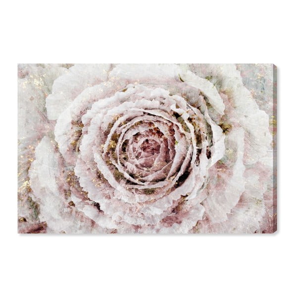 Tablou Oliver Gal Blush Winter Flower, 60 x 40 cm
