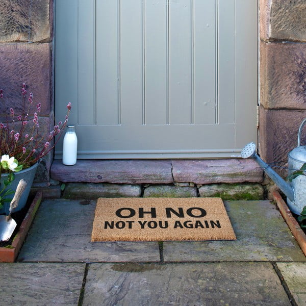 Covoraș de intrare din fibre de nucă de cocos 40x60 cm Not You Again – Artsy Doormats-image-4