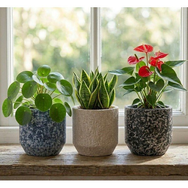 Ghiveci decorativ din ceramică handmade ø 14 cm Almada – Ego Dekor-image-1