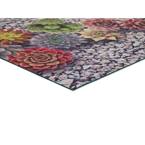 Covor Universal Sprinty Cactus, 52 x 100 cm-image-2