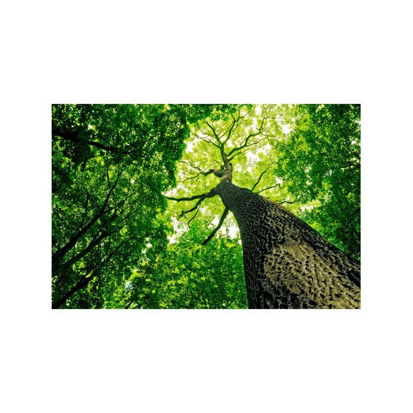 Tablou Green Tree 45 x 70 cm