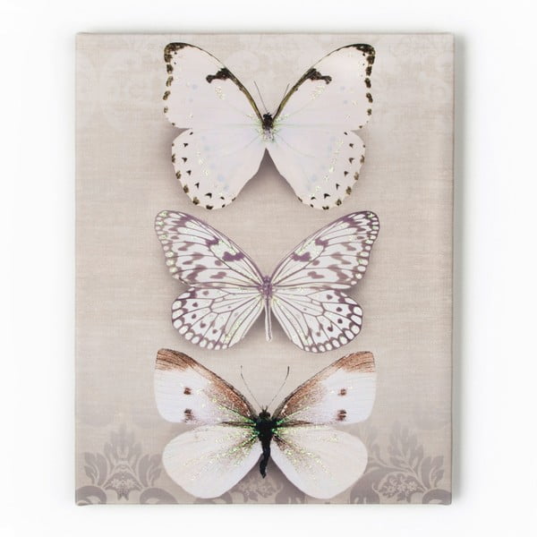 Tablou Graham & Brown Butterfly Trio, 40 x 50 cm