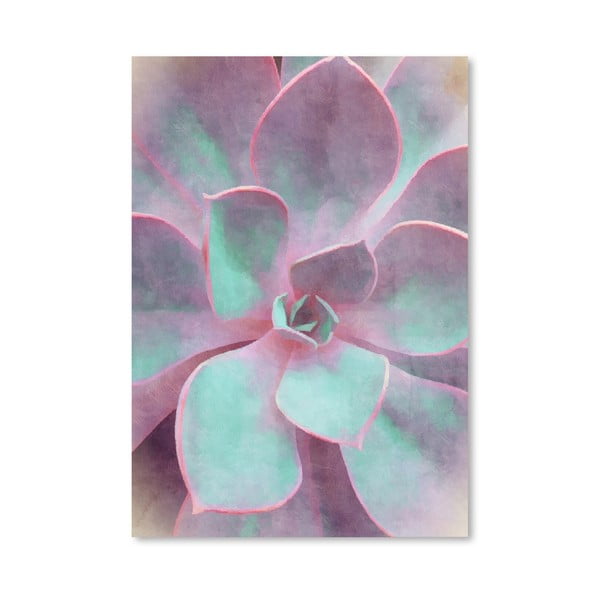 Poster Americanflat Sweet Succulent, 30 x 42 cm