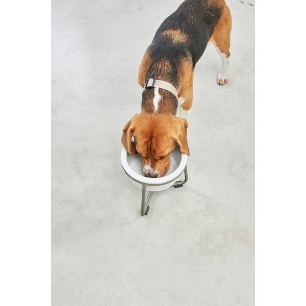 Bol cu suport  pentru câini din porțelan ø 20 cm Pranzo Grolive M – MiaCara-image-4