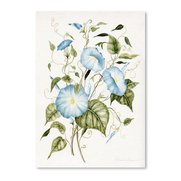 Poster Americanflat Morning Glories by Shealeen Louise, 30 x 42 cm