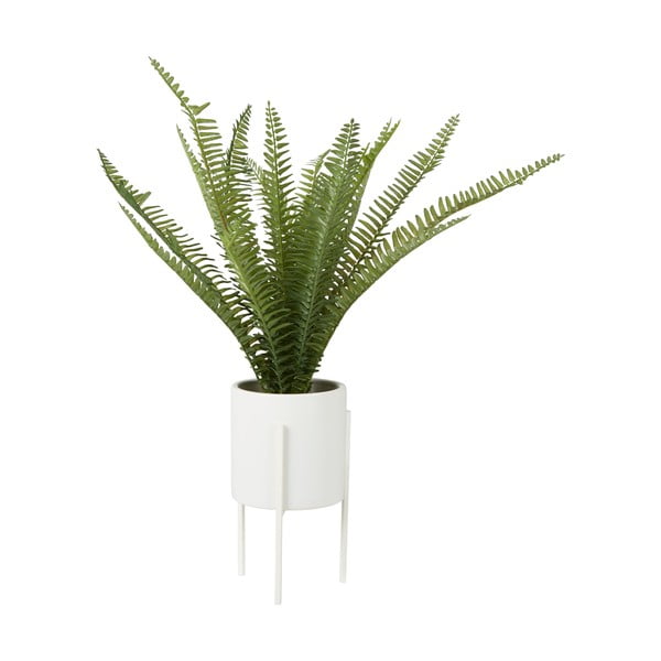 Ferigă artificială (înălțime 56 cm) Fiori – Premier Housewares-image-1