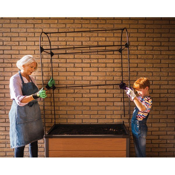 Pat ridicat de plante Maple – Keter-image-2