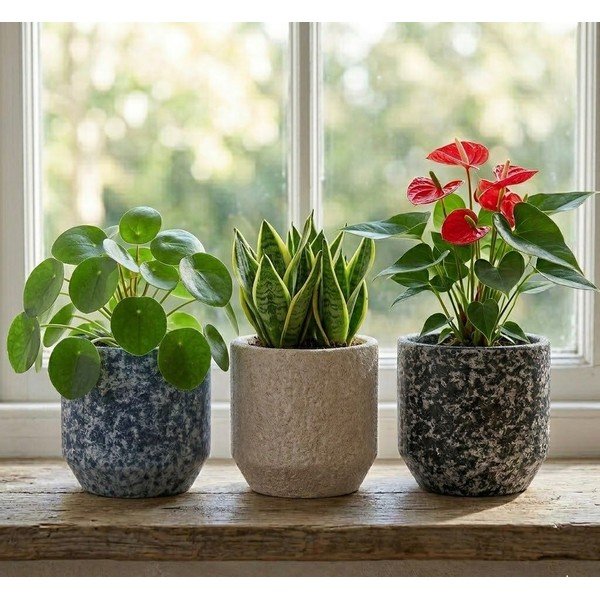 Ghiveci decorativ din ceramică handmade ø 14 cm Almada – Ego Dekor-image-1