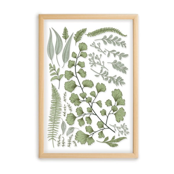 Tablou cu ramă din lemn de pin Surdic Leafes Collection, 50 x 70 cm