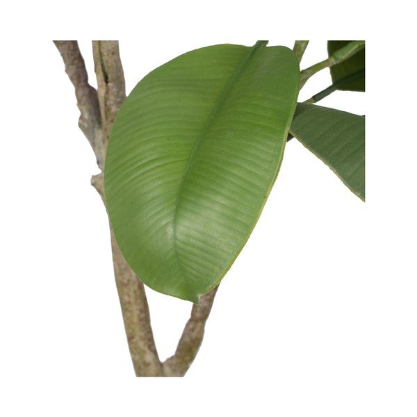 Plantă artificială (înălțime 116 cm) Oak Tree – Ixia-image-2