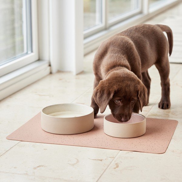 Bol pentru animale pentru câini din ceramică ø 13 cm Sia – OYOY Living Design-image-2