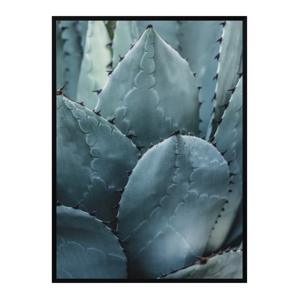 Poster Nord & Co Cactus, 30 x 40 cm