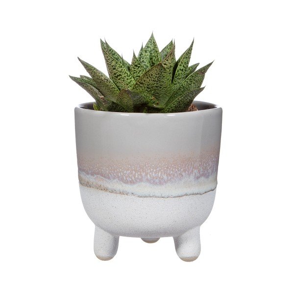 Ghiveci Sass & Belle Bohemian Home Mojave, ø 11,7 cm, gri-image-2