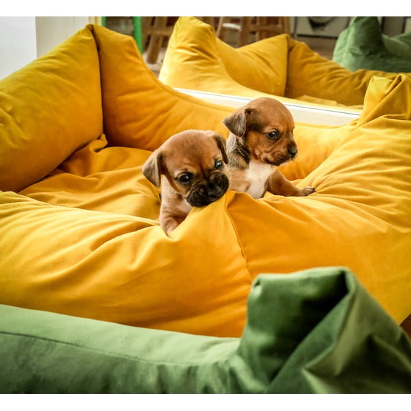 Pat pentru animale de companie galben pentru câini 80x67 cm – Madison-image-1