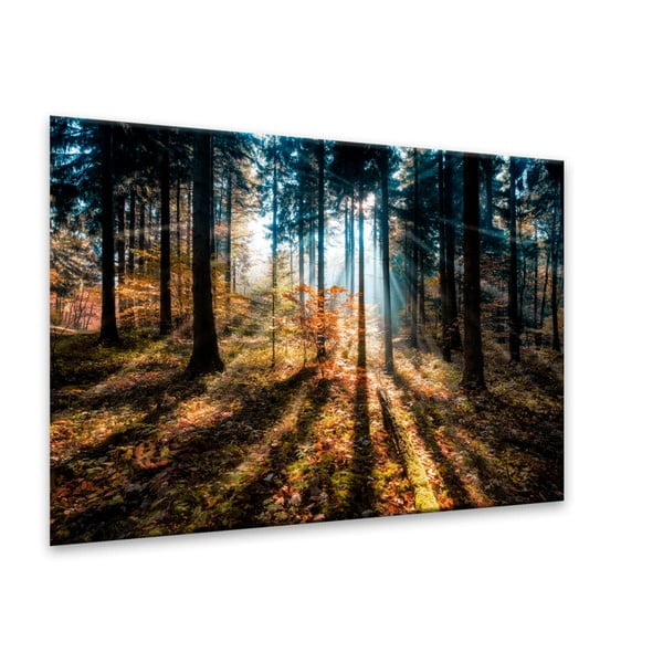 Tablou Styler Glasspik Autumn Sunset, 70 x 100 cm-image-2