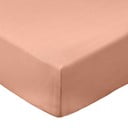 Cearceaf teracotă din bumbac percal cu elastic 90x190 cm Cotton Percale – Bianca
