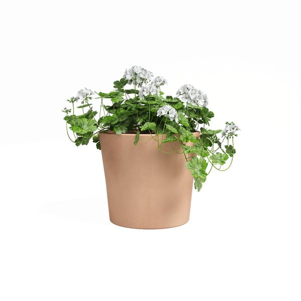 Ghiveci din teracotă ø 24 cm Manuel – Artevasi-image-1