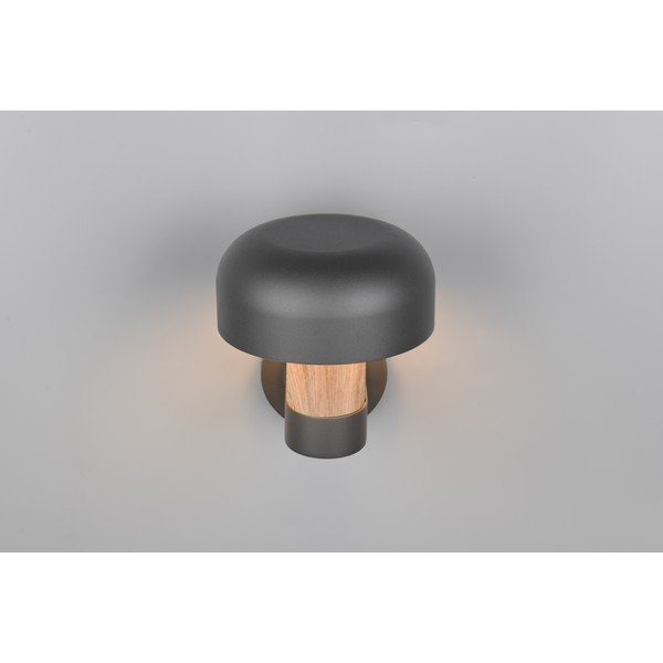 Corp de iluminat pentru exterior, de perete (înălțime 24,5 cm) Fraser – Trio-image-2