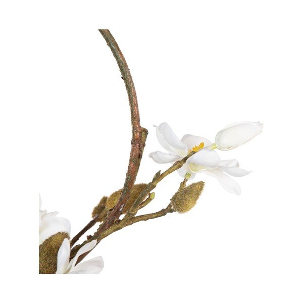 Coroniță Magnolia – Ixia-image-1
