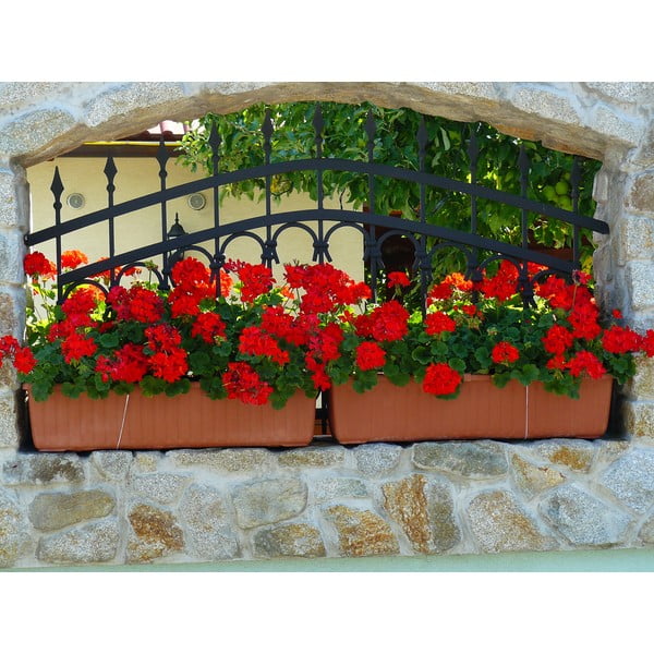 Ghiveci cu auto-udare Plastia Siesta, lungime 80 cm, maro-image-1