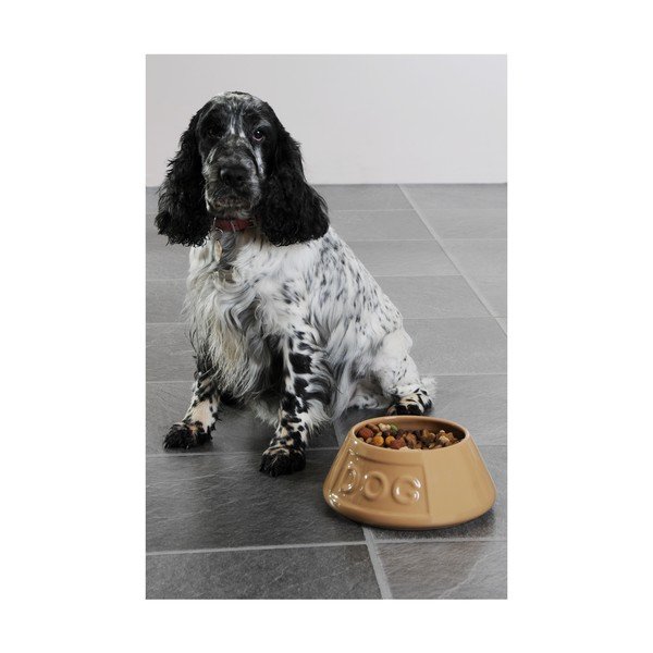 Bol din ceramică pentru câine Mason Cash Pet Cane, ø 21 cm-image-2