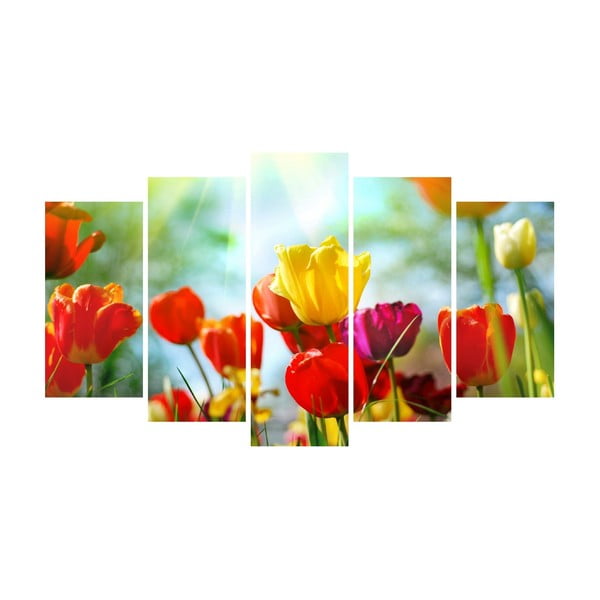 Tablou din mai multe piese pe pânză Flower Color Canvas
