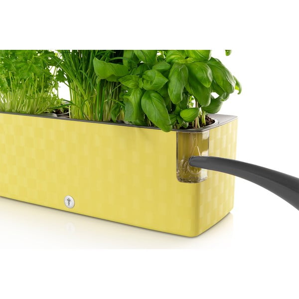 Ghiveci cu sistem de auto-udare Flower Lover Cobble Trio, 40 x 14 cm, verde fistic-image-1