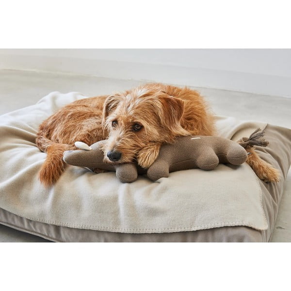 Jucărie pentru câine Bosco Boar – MiaCara-image-3