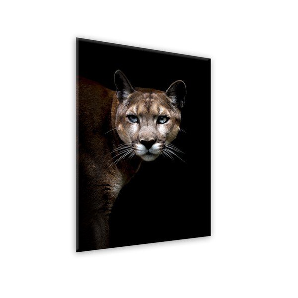 Tablou Styler Glas Animals Cougar, 70 x 100 cm-image-1