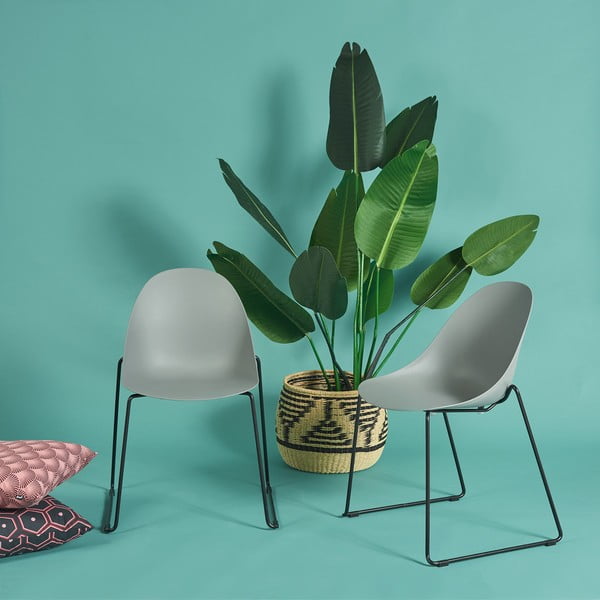 Set 2 scaune dining cu picioare negre Bonami Selection Viva, gri-image-1