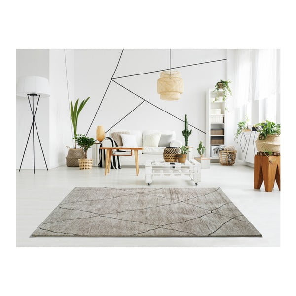 Covor Universal Hydra Beige, 160 x 230 cm, bej-image-1