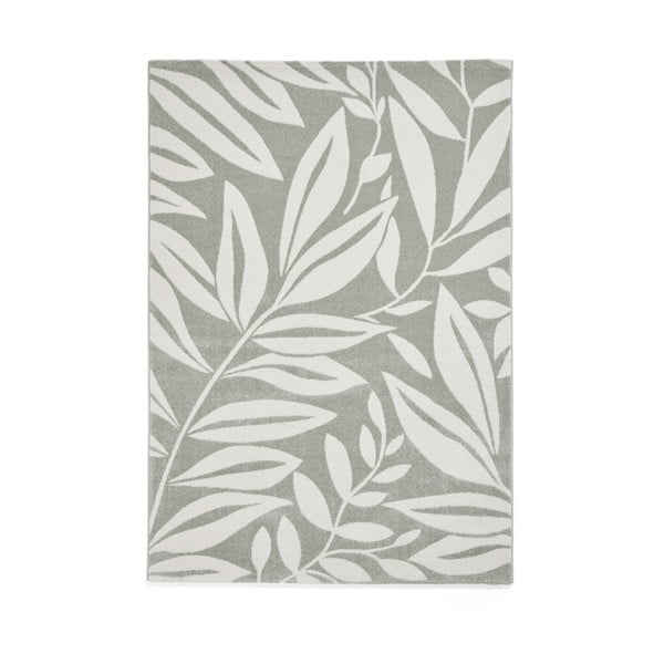 Covor verde deschis 120x170 cm Sorral Leaves  – Catherine Lansfield