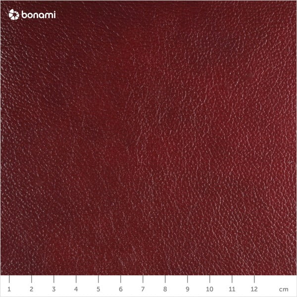 Fotoliu din piele Max Winzer Norwin, roșu-image-1