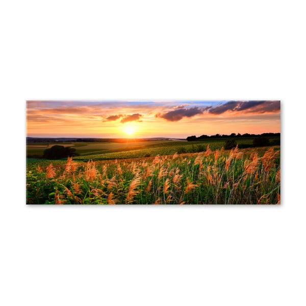 Tablou Styler Glas Sunset Meadow, 50 x 125 cm