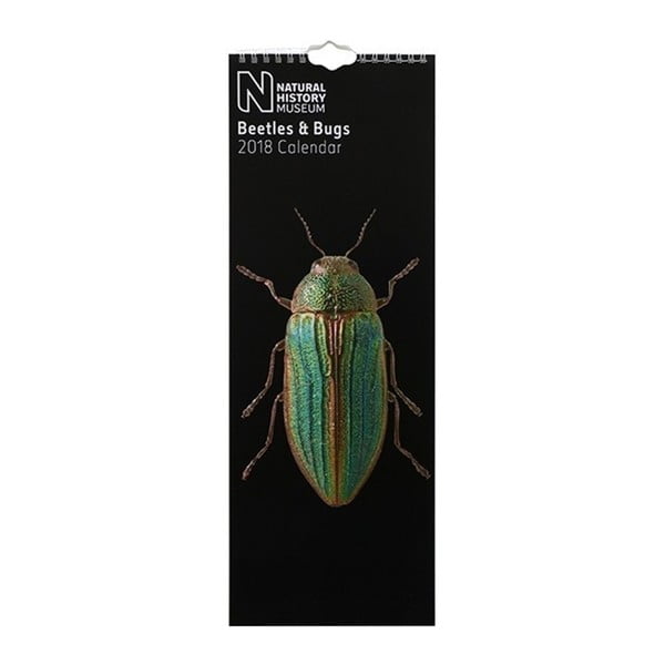 Calendar îngust perete pentru anul 2018 Portico Designs Natural History Museum Beetles & Bugs