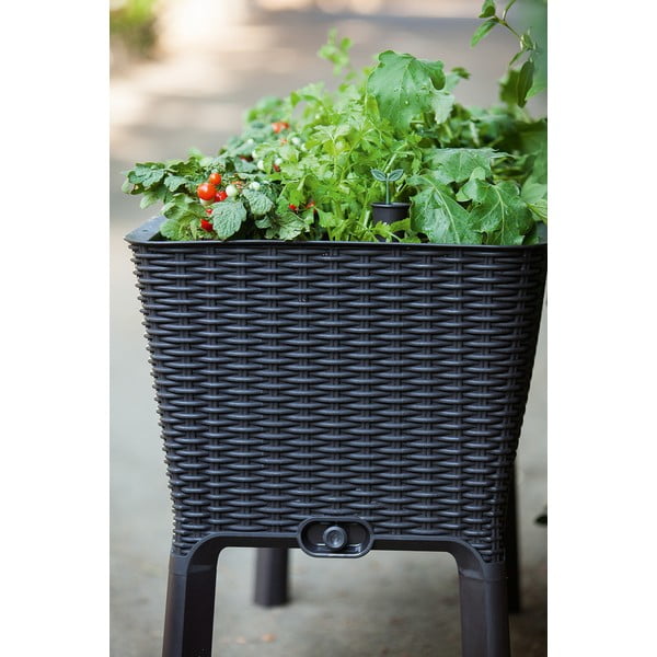 Jardinieră Easy Grow – Keter-image-2