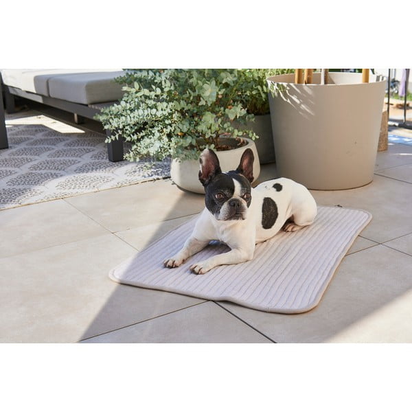 Pătură gri pentru câini din bumbac 75x100 cm Onda Pebble M – MiaCara-image-2