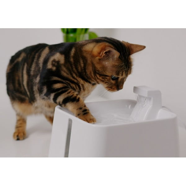 Fântână pentru animale de companie Epic Pet Zen - Plaček Pet Products-image-1