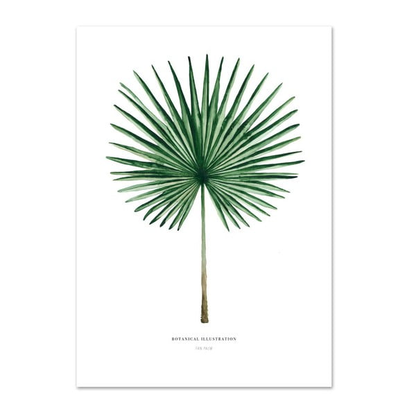 Poster Leo La Douce Fan Palm, 29,7 x 42 cm